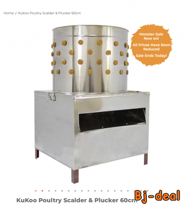 Main image of Deplumeuse dans le carton