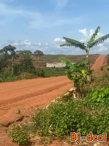 Image principale de Tsinga village terrain titré à vendre