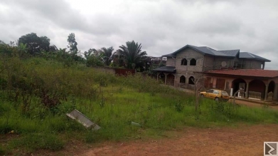 Main image of Terrain d'une superficie de 1108m2 titré , à  vendre à  ODZA Borne 10, à  quelques mètres de la route avec des constructions aux alentours.