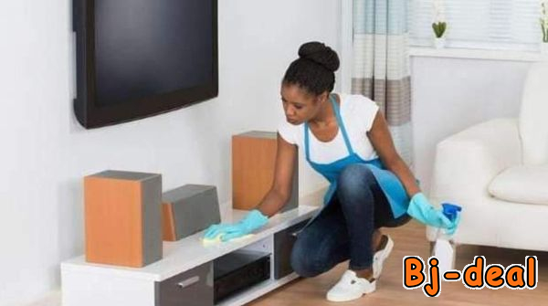 Main image of Placement du personnel de maison Vous