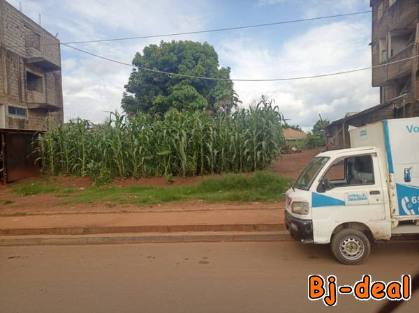 Image principale de 800m2 de terrain commercial titré à vendre à Fo