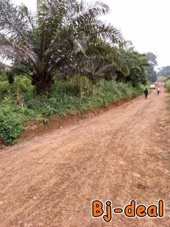 Image principale de Opportunité à saisir  350m2 de terrain titré à