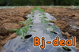 Main image of Plastic mulch ou toile de paillage