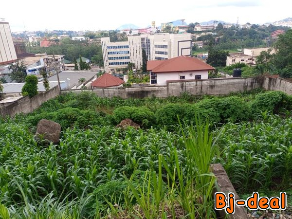 Image principale de 1000m2 de terrain titré à vendre en plein centre