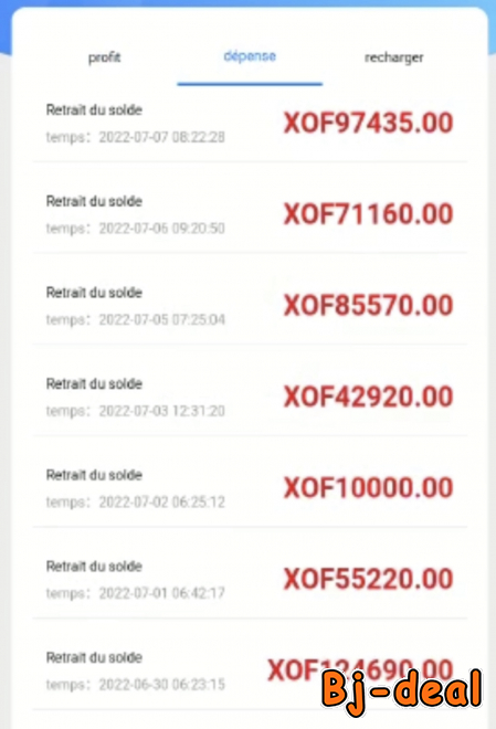 Image principale de OPPORTUNITÉ EN LIGNE