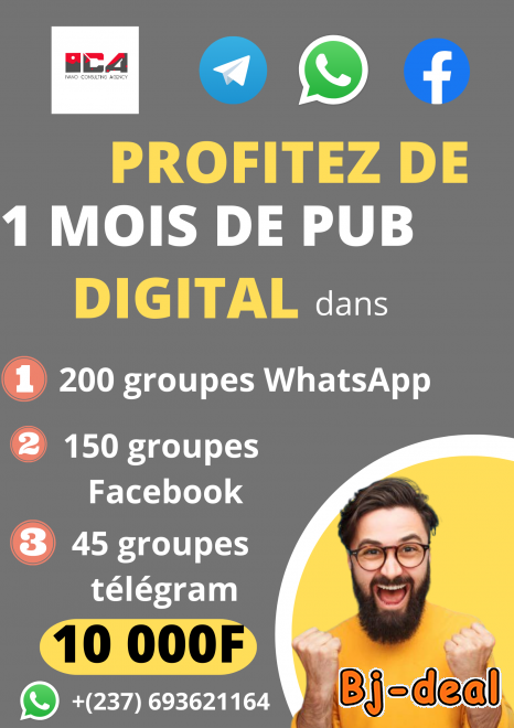 Main image of 1 MOIS DE PUB DIGITAL