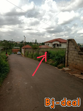 Image principale de 1000m2 de terrain titré à vendre à Odza Happy