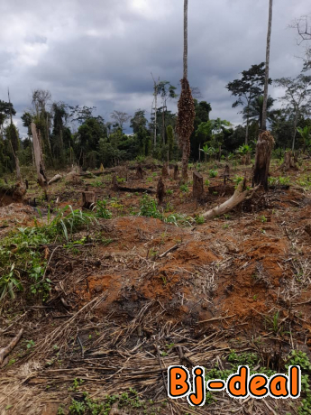 Image principale de TERRAIN TITRÉ CONSTRUCTIBLE À VE