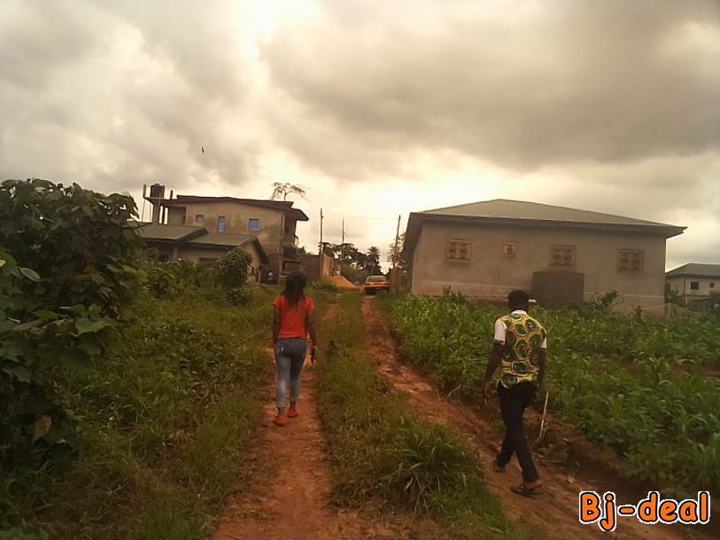 Image principale de Terrain à vendre à Yaoundé