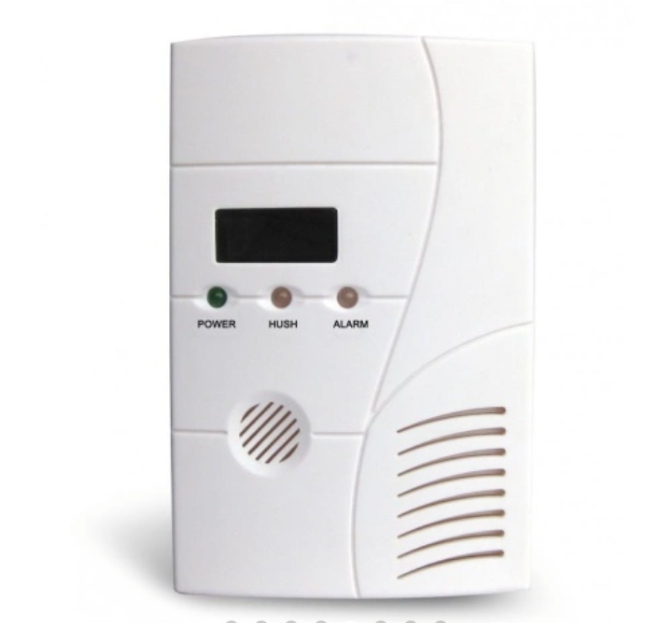 Main image of DÉTECTEUR DE GAZ