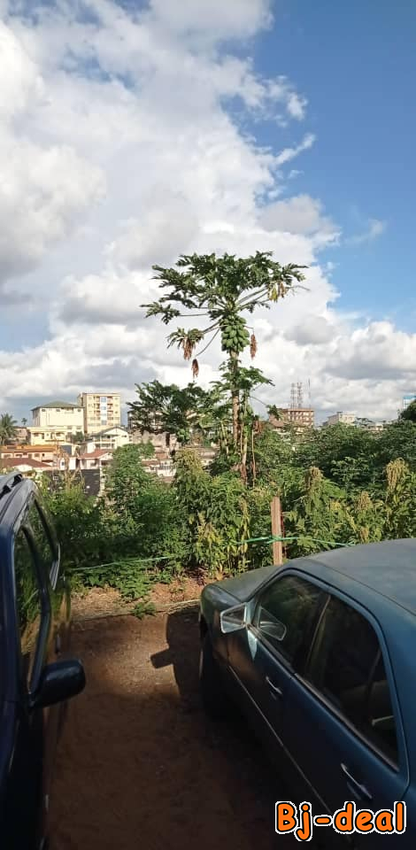 Image principale de Omnisports quartier résidentiel 600m2 de terrain