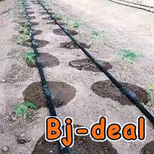 Image principale de Système d'arrosage au goûte à goûte