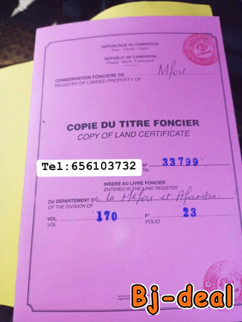 Image principale de Terrains titré à Yaoundé