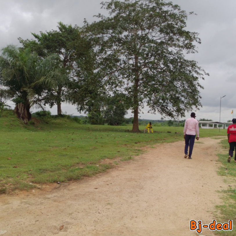 Image principale de TERRAIN à vendre ngombé