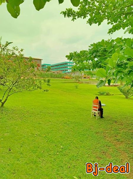 Image principale de Opportunité à ne pas rater  Magnifique terrain