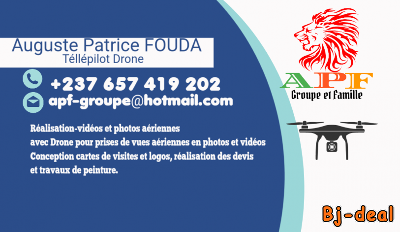 Image principale de Télépilot de Drone peintre