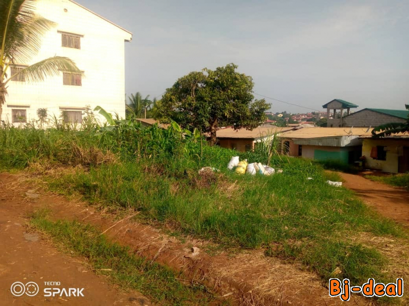 Image principale de 1000m2 de terrain titré à vendre à Odza pe