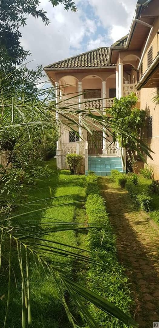 Main image of Duplex