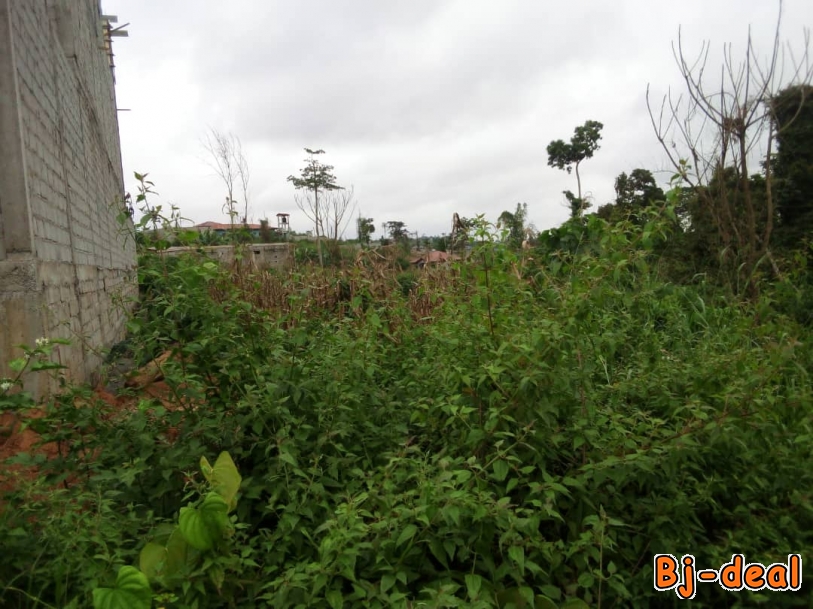 Main image of TERRAIN TITRÉ ET LOTI À NKOABANG