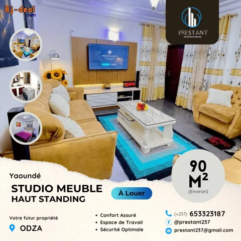 Main image — Somptueux Studio Meublé Haut Standing à louer à Odza