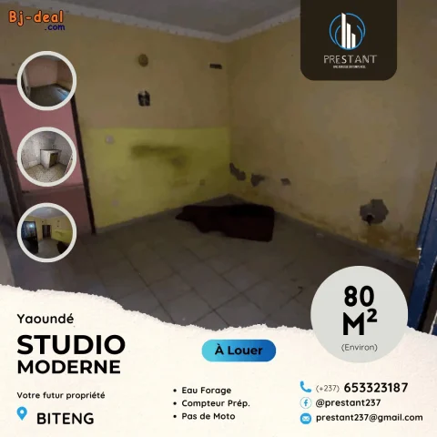 Image principale — Studio Moderne Abordable à louer à Biteng