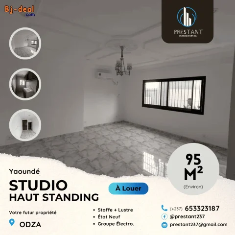 Image principale — Somptueux Studio Haut Standing Neuf à louer à Odza