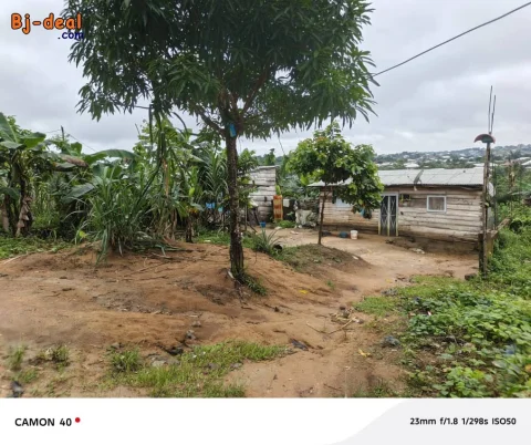 Main image — 200m NON TITRÉ à YASSA