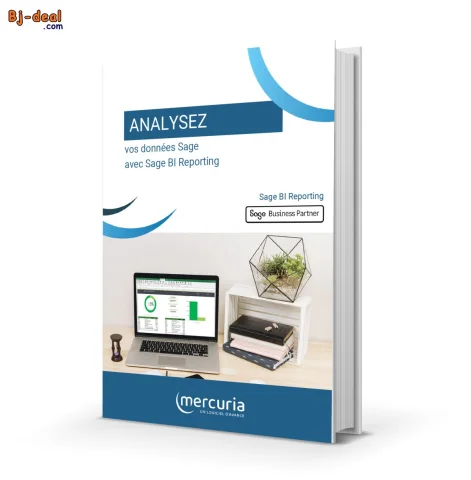 Image principale — SAGE 100 BI REPORTING AVEC LICENCE 10 ans