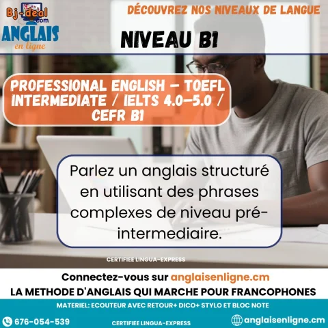Image principale — Niveau B1 Professional English TOEFL Intermediate
