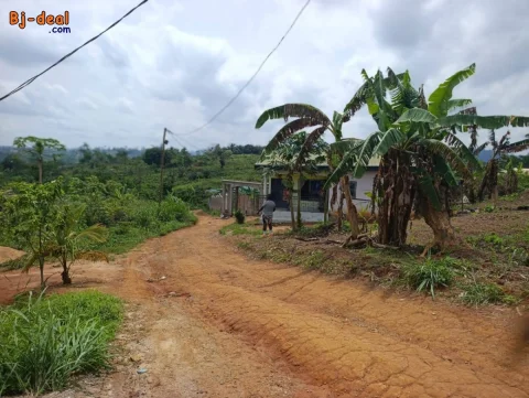 Main image — Terrain à vendre à Ngousso